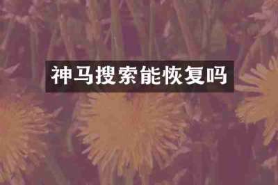 神马搜索能恢复吗