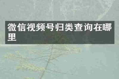 微信视频号归类查询在哪里