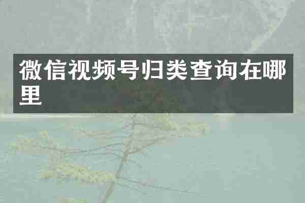 微信视频号归类查询在哪里