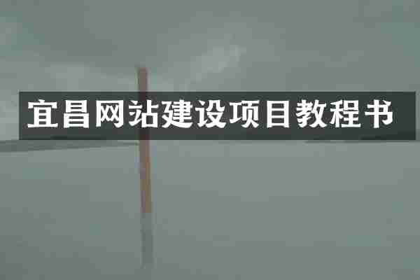宜昌网站建设项目教程书
