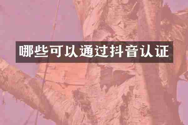 哪些可以通过抖音认证