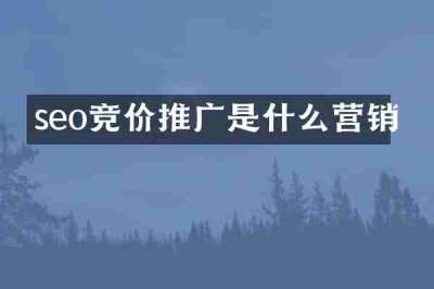 seo竞价推广是什么营销
