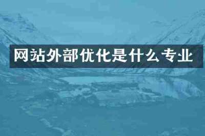 网站外部优化是什么专业