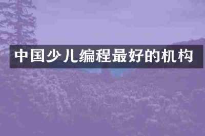 中国少儿编程最好的机构