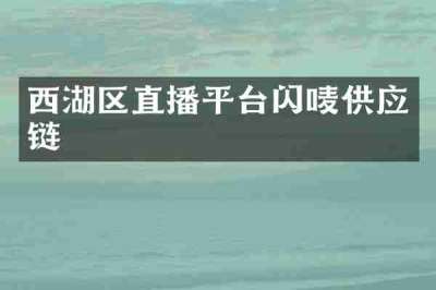 西湖区直播平台闪唛供应链