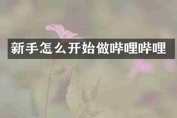 新手怎么开始做哔哩哔哩