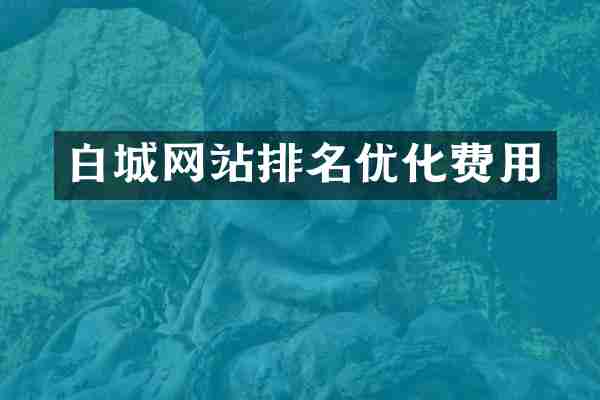 白城网站排名优化费用