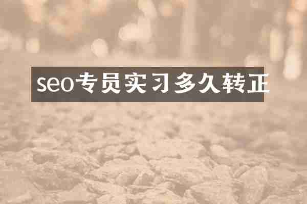seo专员实习多久转正