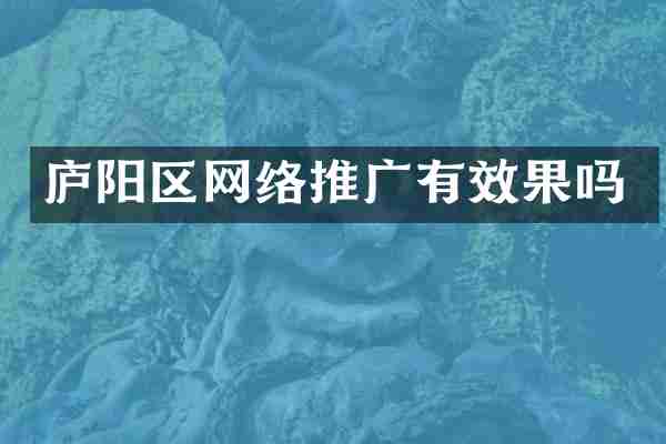 庐阳区网络推广有效果吗