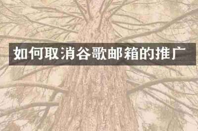 如何取消谷歌邮箱的推广