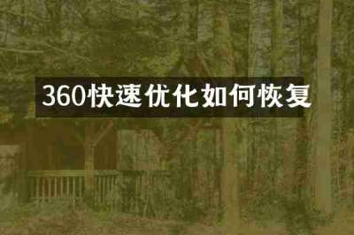 360快速优化如何恢复