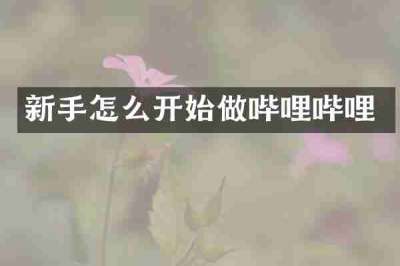 新手怎么开始做哔哩哔哩