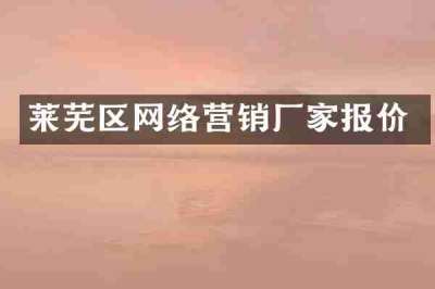 莱芜区网络营销厂家报价