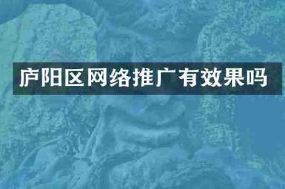 庐阳区网络推广有效果吗