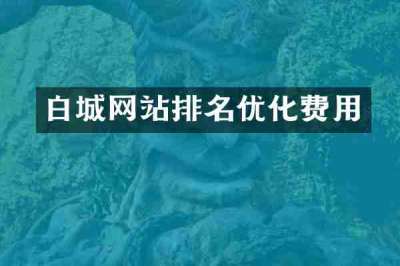 白城网站排名优化费用