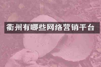 衢州有哪些网络营销平台