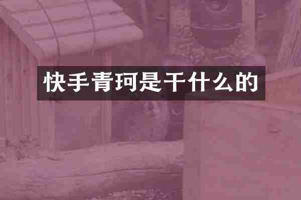 快手青珂是干什么的