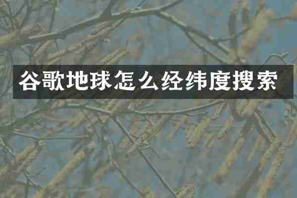 谷歌地球怎么经纬度搜索
