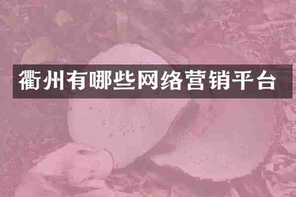 衢州有哪些网络营销平台