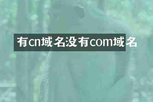有cn域名没有com域名