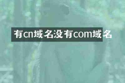 有cn域名没有com域名