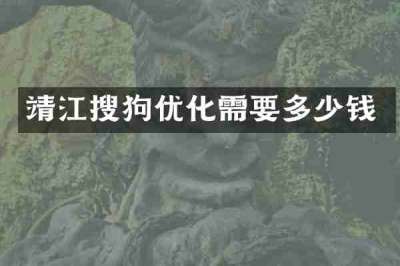 靖江搜狗优化需要多少钱