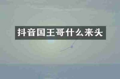 抖音国王哥什么来头