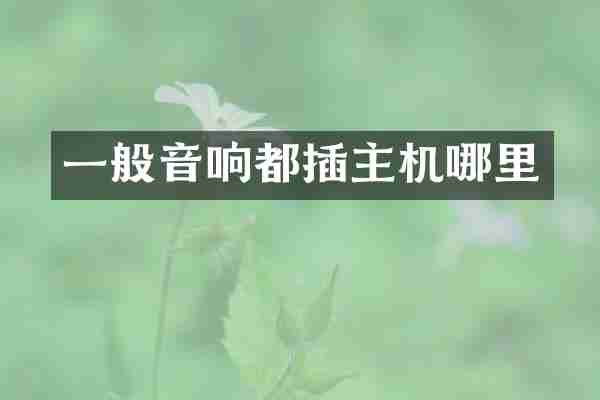 一般音响都插主机哪里