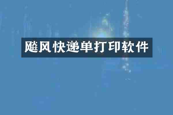 飚风快递单打印软件