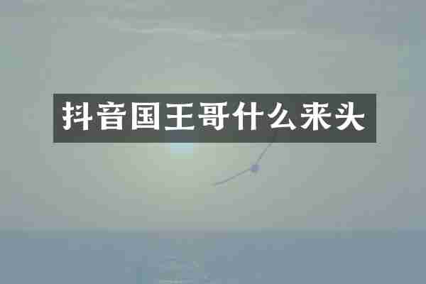 抖音国王哥什么来头