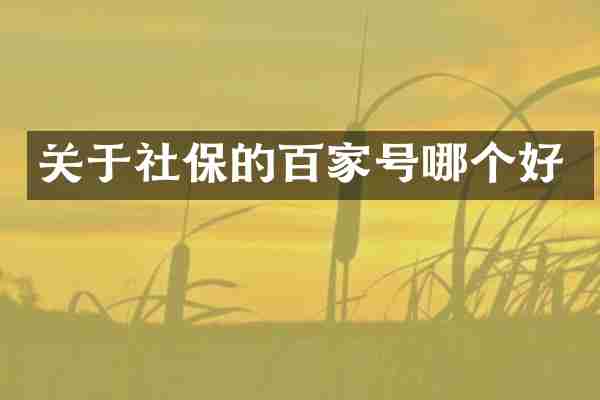 关于社保的百家号哪个好