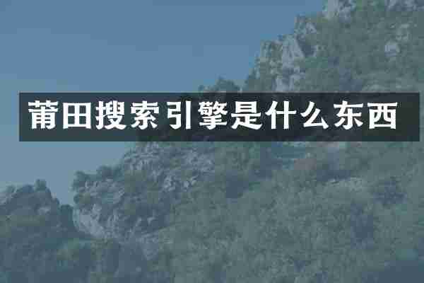 莆田搜索引擎是什么东西