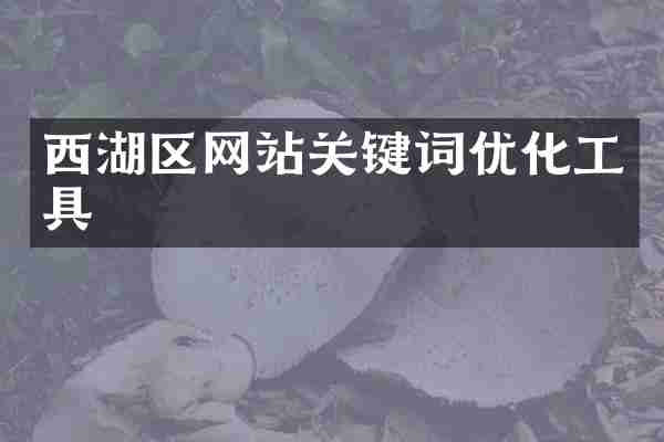 西湖区网站关键词优化工具