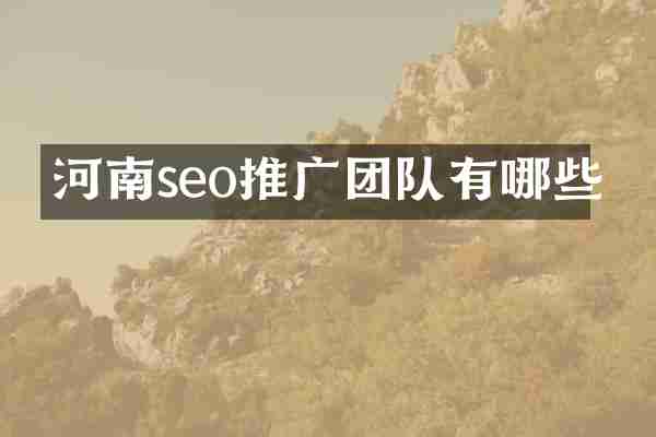 河南seo推广团队有哪些