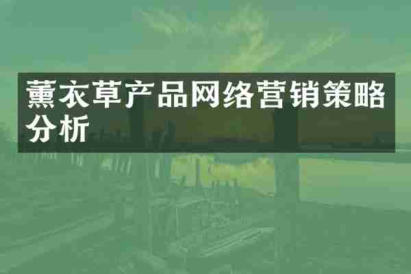 薰衣草产品网络营销策略分析