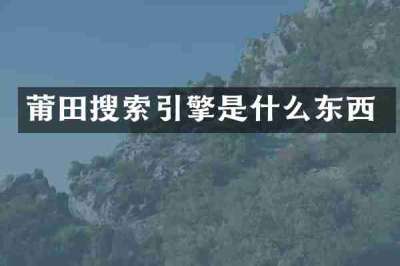 莆田搜索引擎是什么东西