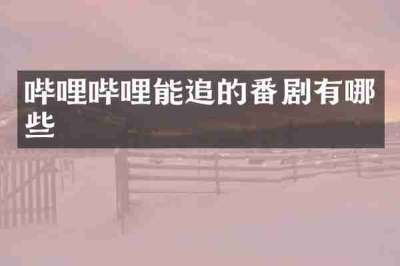 哔哩哔哩能追的番剧有哪些