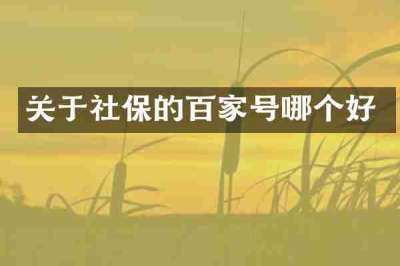 关于社保的百家号哪个好