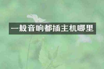 一般音响都插主机哪里