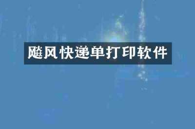 飚风快递单打印软件