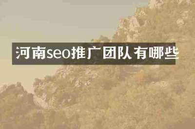 河南seo推广团队有哪些