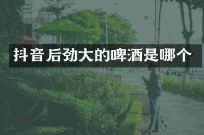 抖音后劲大的啤酒是哪个