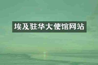 埃及驻华大使馆网站
