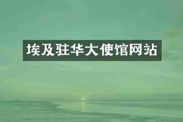 埃及驻华大使馆网站