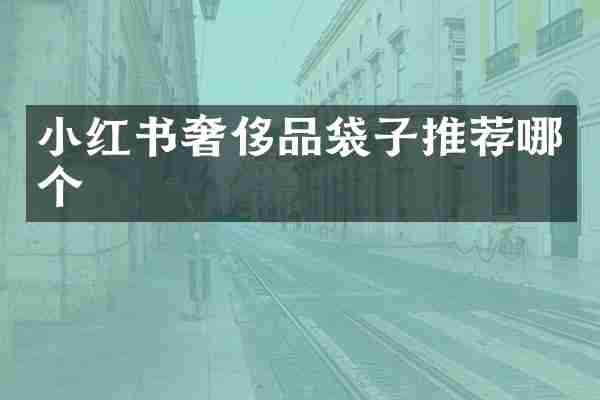 小红书奢侈品袋子推荐哪个