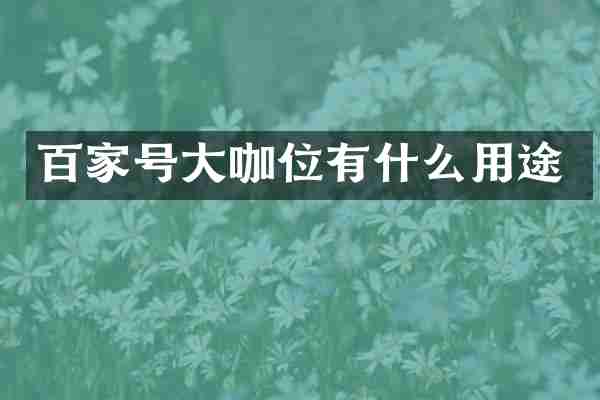 百家号大咖位有什么用途