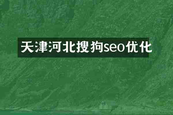 天津河北搜狗seo优化