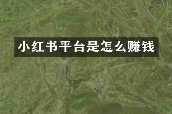小红书平台是怎么赚钱