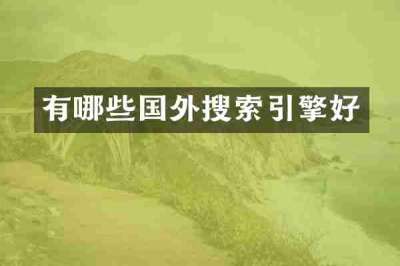 有哪些国外搜索引擎好