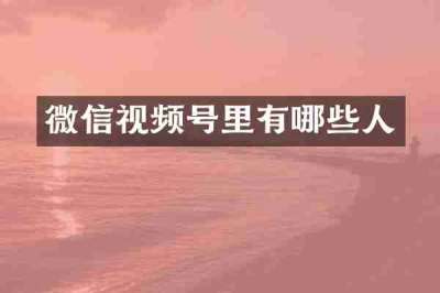 微信视频号里有哪些人